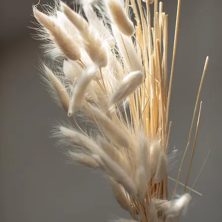 Skyloft Monte Falco 公寓 *